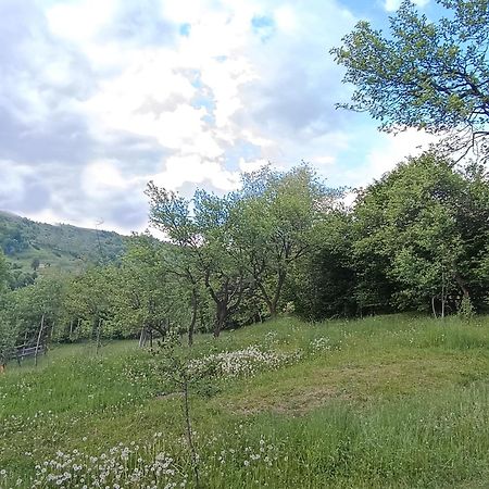 Villa Casuta Din Livada Moisei Esterno foto