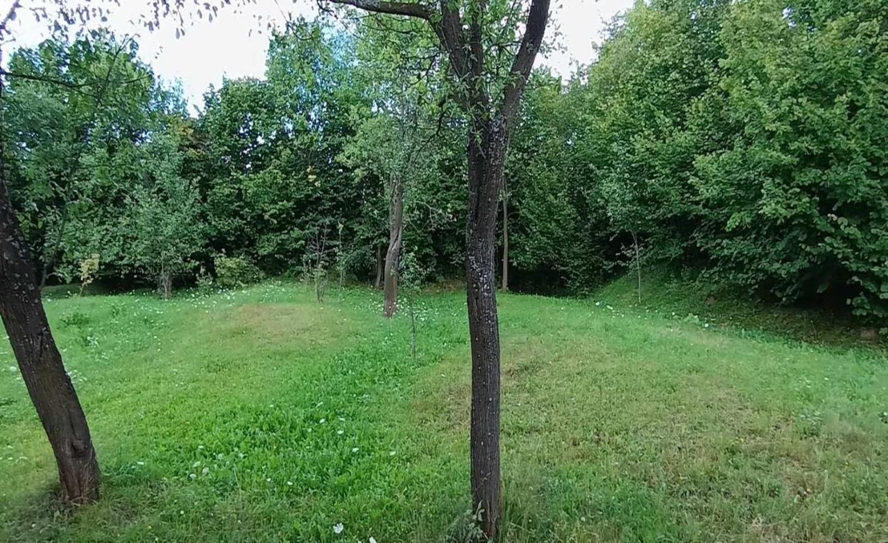 Villa Casuta Din Livada Moisei Esterno foto