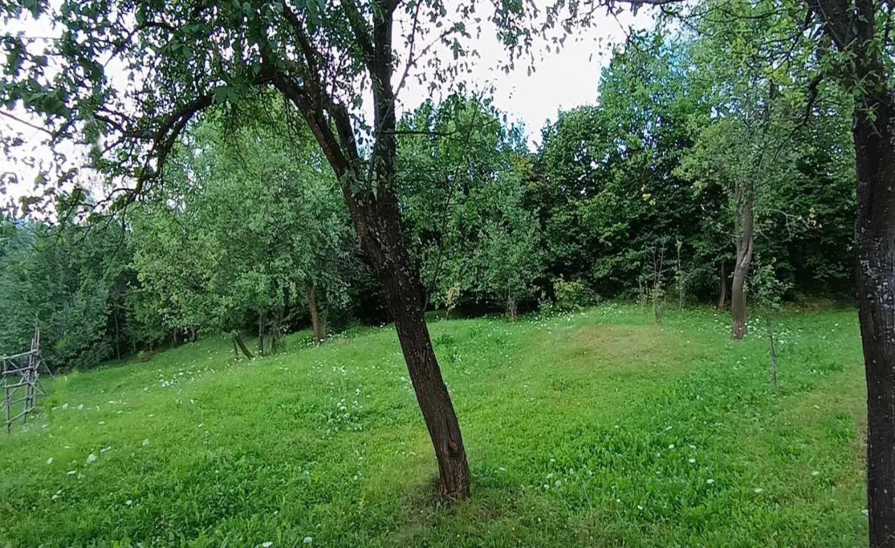 Villa Casuta Din Livada Moisei Esterno foto