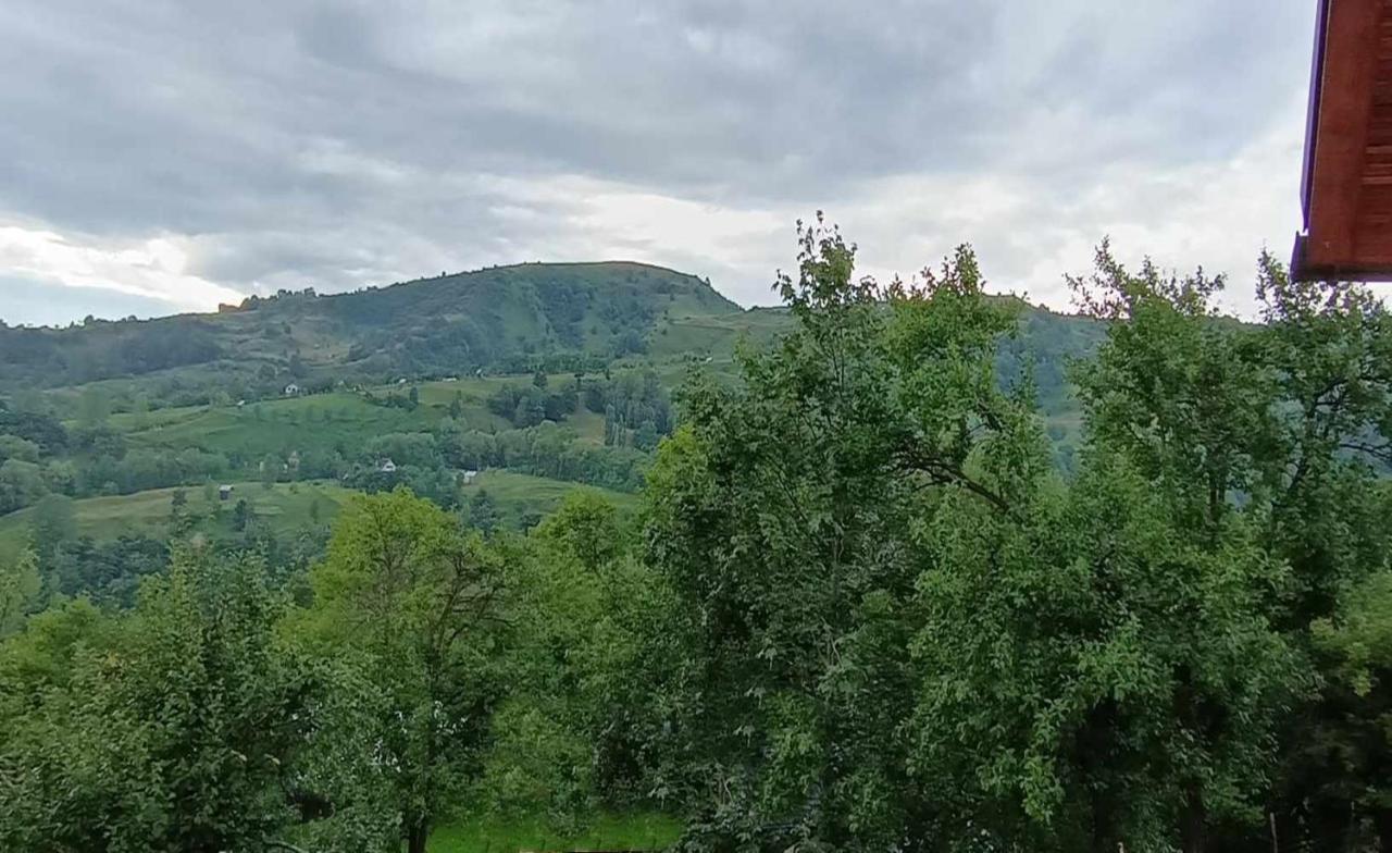 Villa Casuta Din Livada Moisei Esterno foto