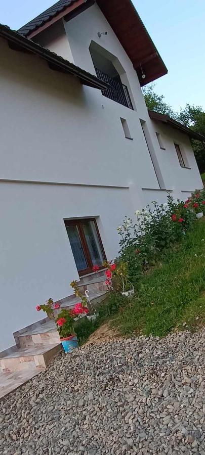 Villa Casuta Din Livada Moisei Esterno foto