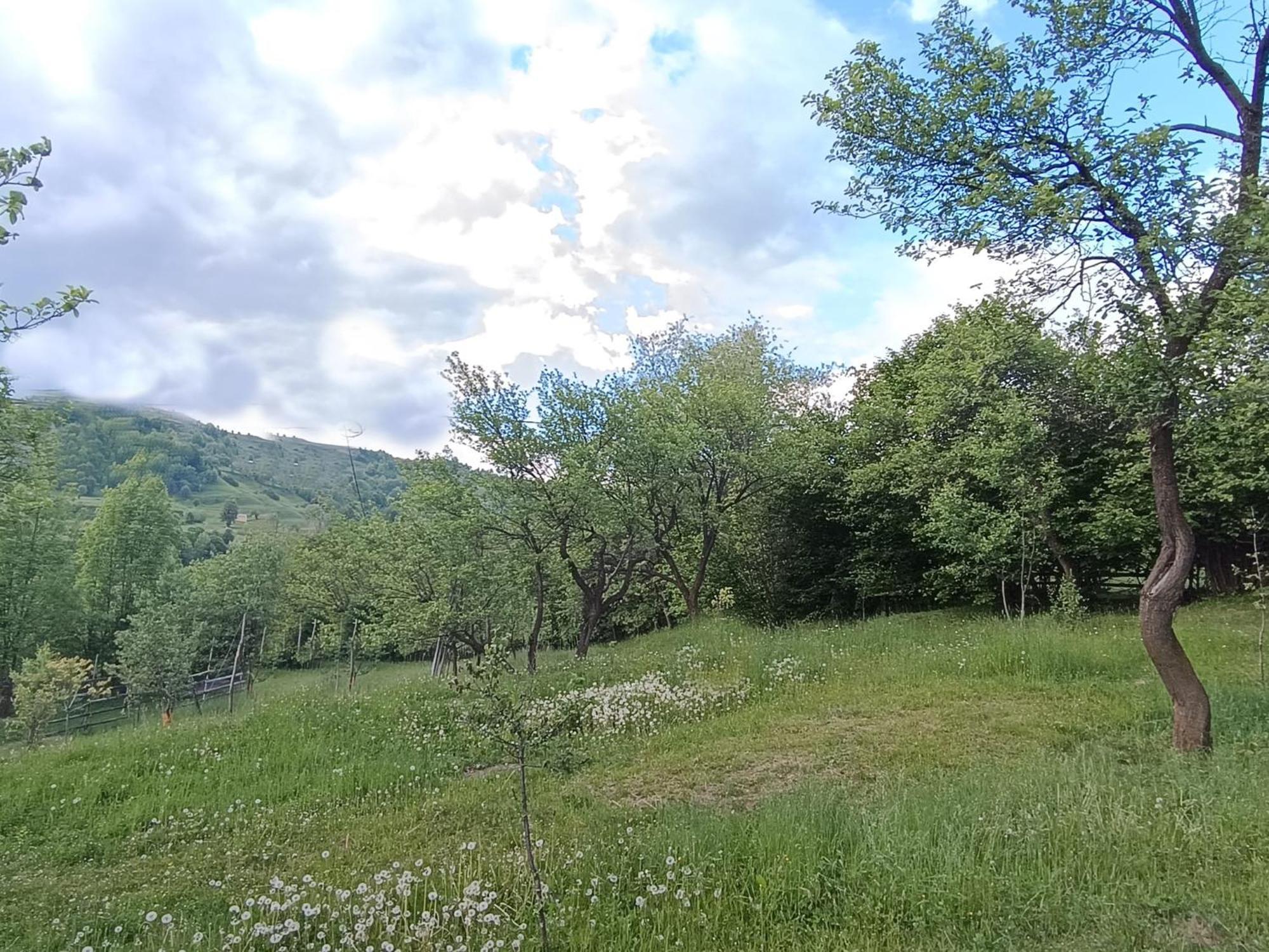 Villa Casuta Din Livada Moisei Esterno foto